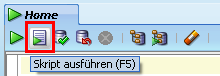 Script ausführen Script ausführen