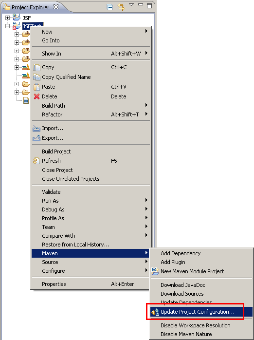 Update Project Configuration(2)