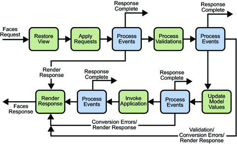 Lifecycle