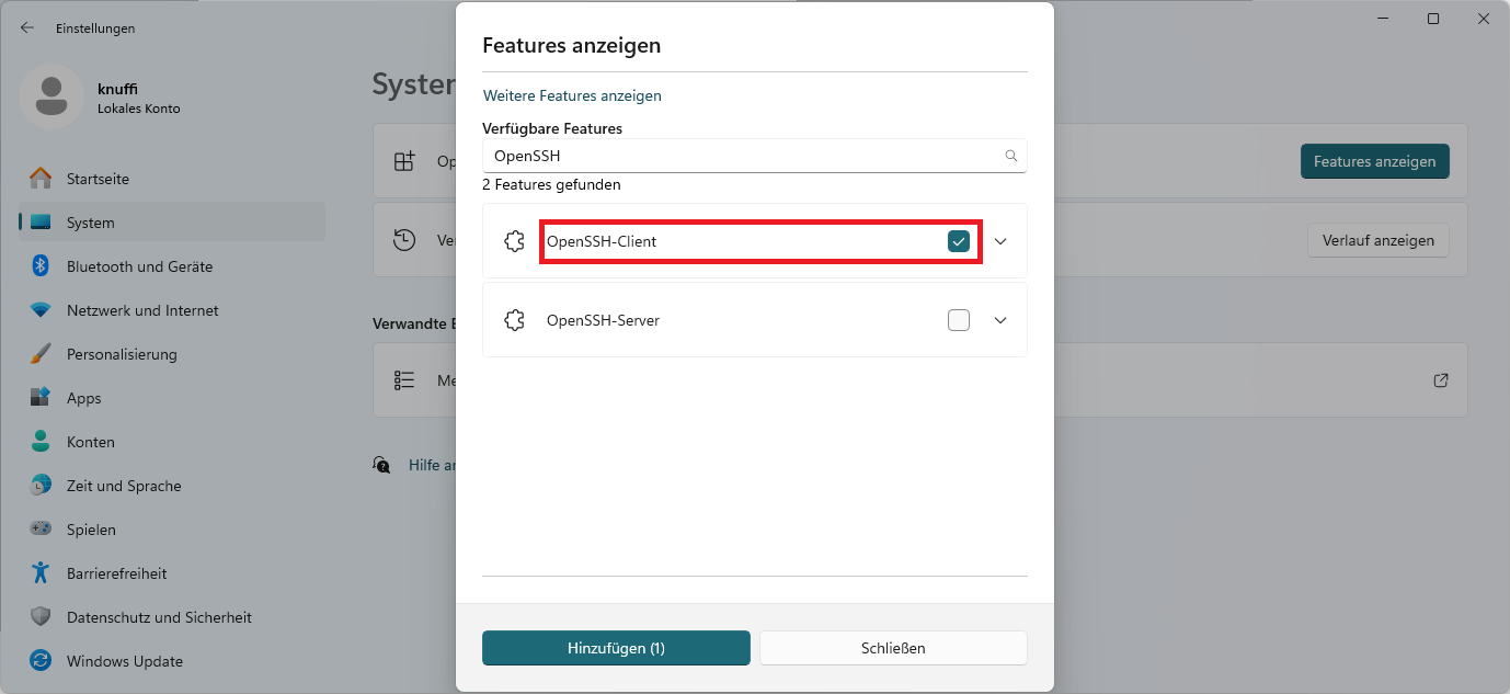 Optionale Features (4)