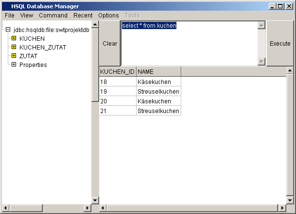 Database Manager