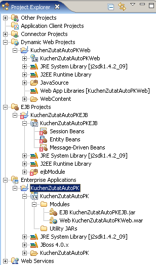 Project Explorer