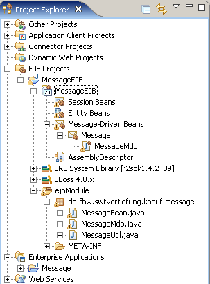 Message Driven Bean (5)